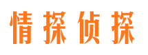 江阳市私家调查